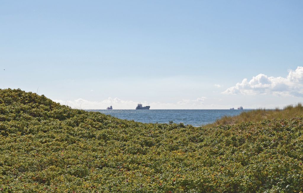 Feriehus - Skagen Sønderstr. , Danmark - A01504 2