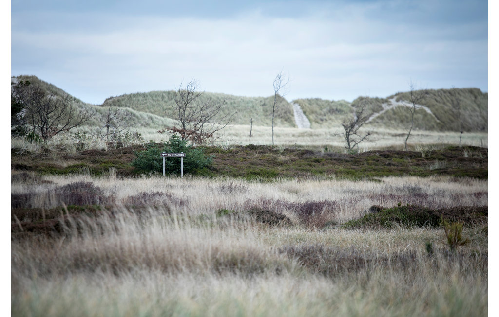 Semesterhus - Skagen Strand , Danmark - A01803 18