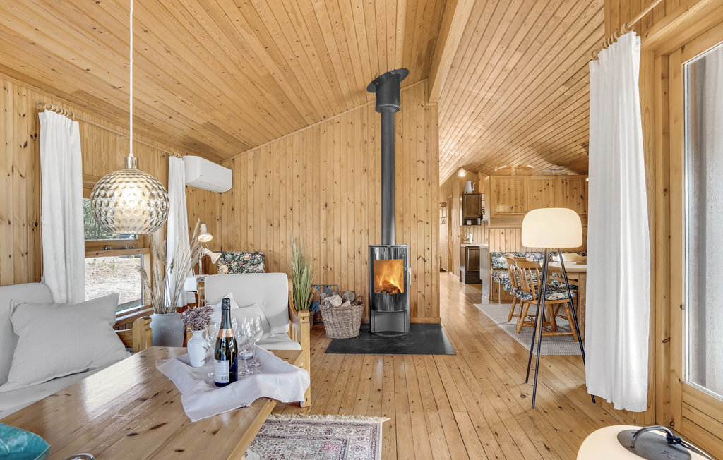 Kuća-za-odmor - Skiveren Strand , Danska - A01506 5