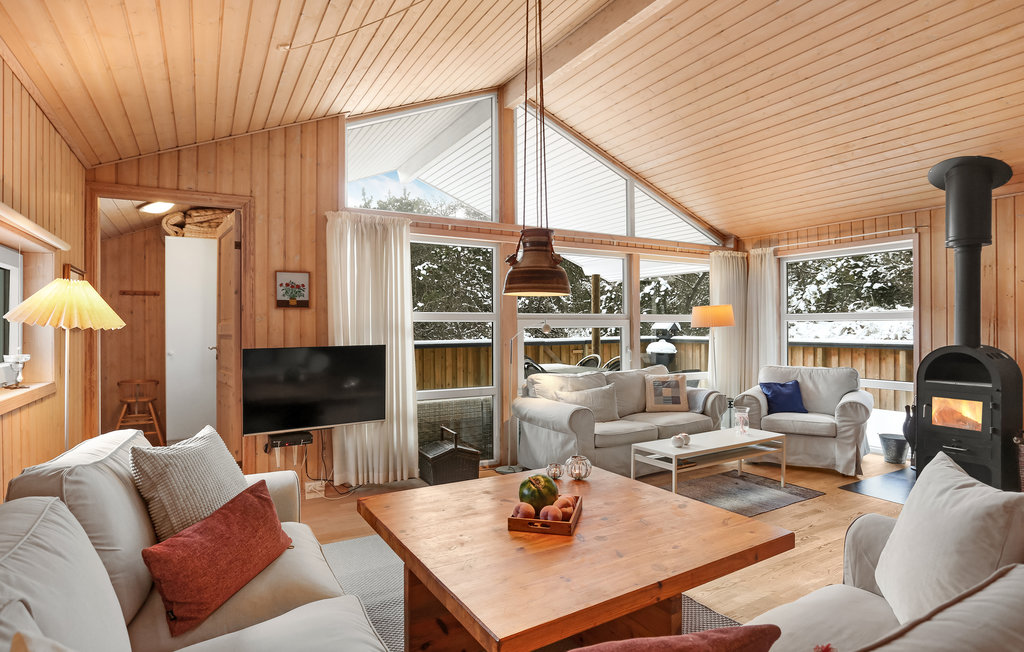 Ferienhaus - Skiveren , Dänemark - A01495 5
