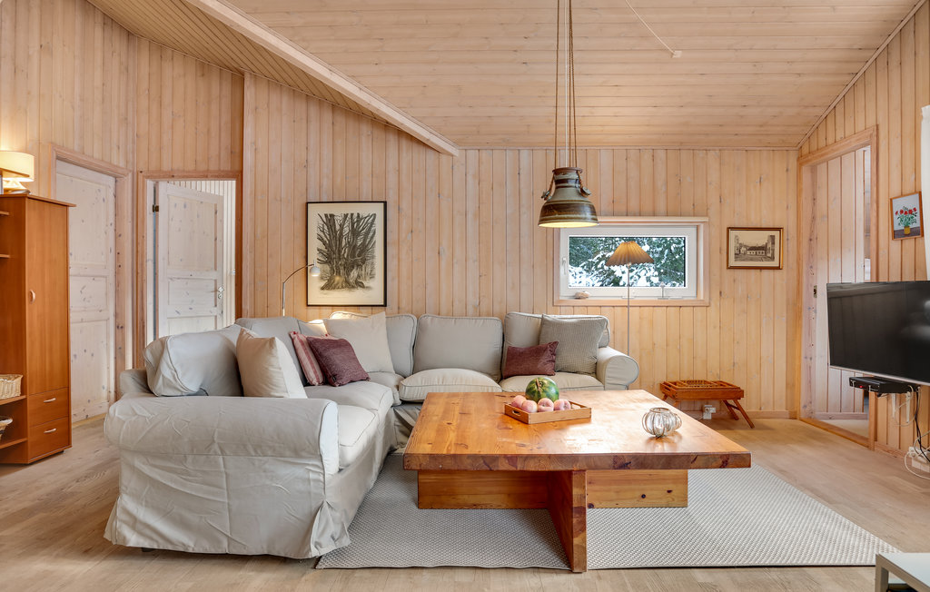 Ferienhaus - Skiveren , Dänemark - A01495 4