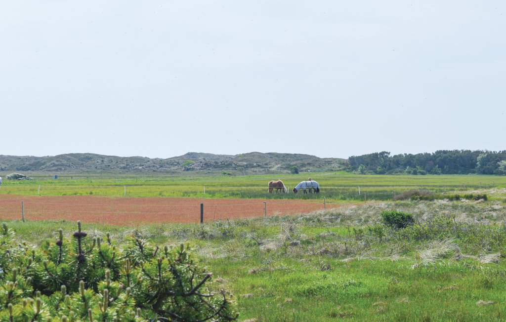 Feriehuse - Kandestederne , Danmark - A01133 10