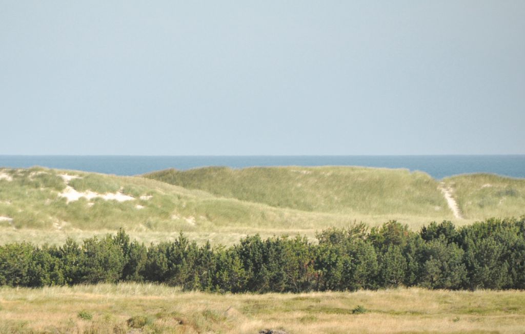 Semesterhus - Skagen Strand , Danmark - A01803 41