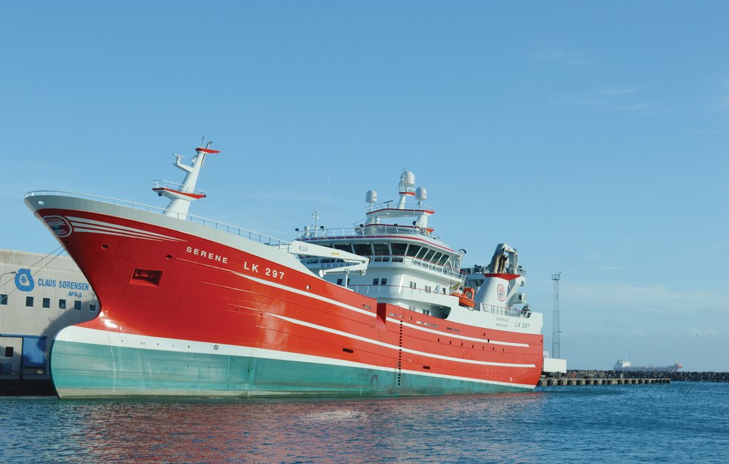 Ferienhaus - Skagen By , Dänemark - A01541 27