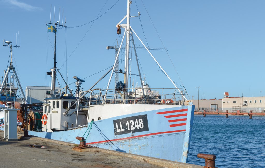 Ferienhaus - Skagen By , Dänemark - A01541 25