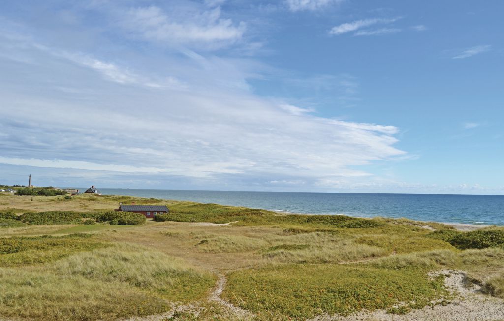 Feriehus - Skagen Sønderstr. , Danmark - A01504 7