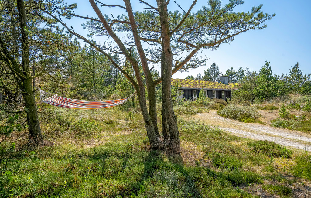 Ferienhaus - Skiveren , Dänemark - A01767 9