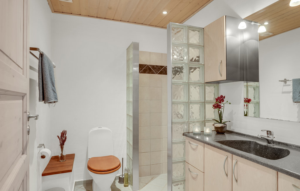 Ferienhaus - Skagen Strand , Dänemark - A01179 17