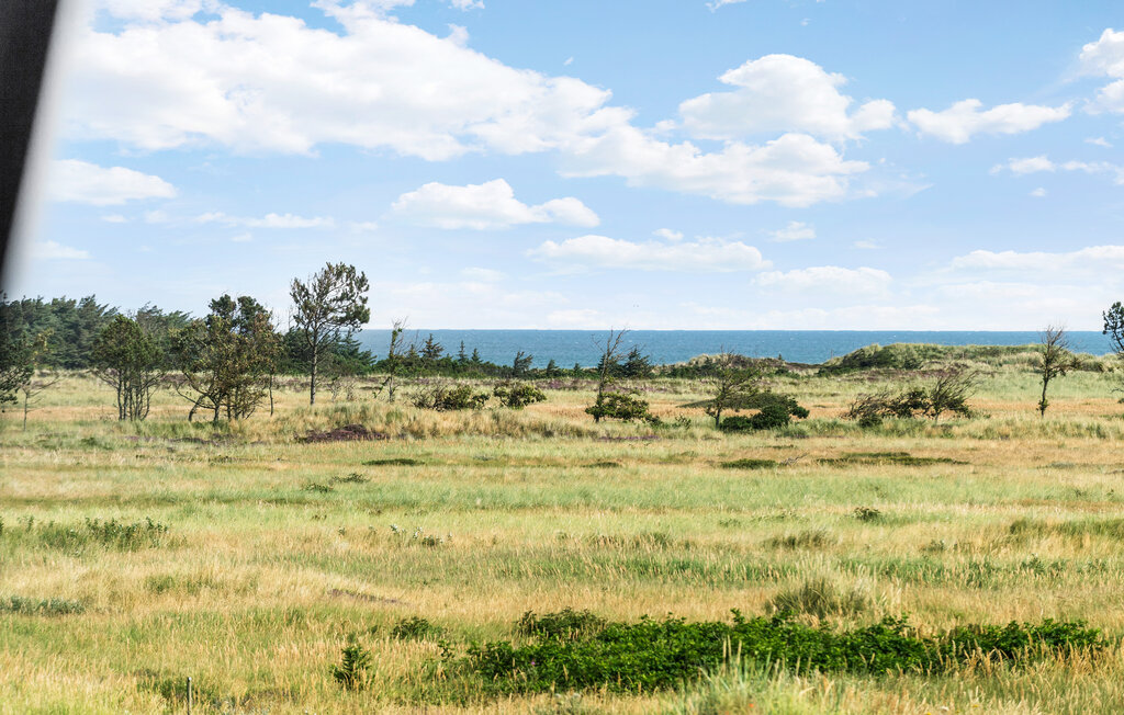 Semesterhus - Skagen Strand , Danmark - A01099 2