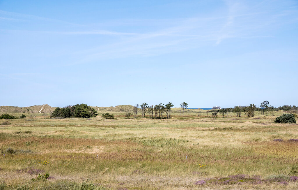 Ferienhaus - Skagen Strand , Dänemark - A01125 16