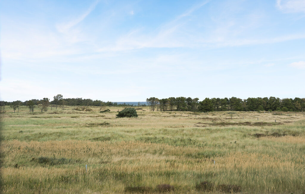 Kuća-za-odmor - Skagen Strand , Danska - A01128 2