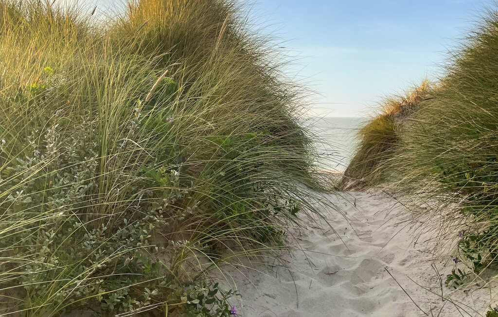 Kuća-za-odmor - Skagen Strand , Danska - A01128 27