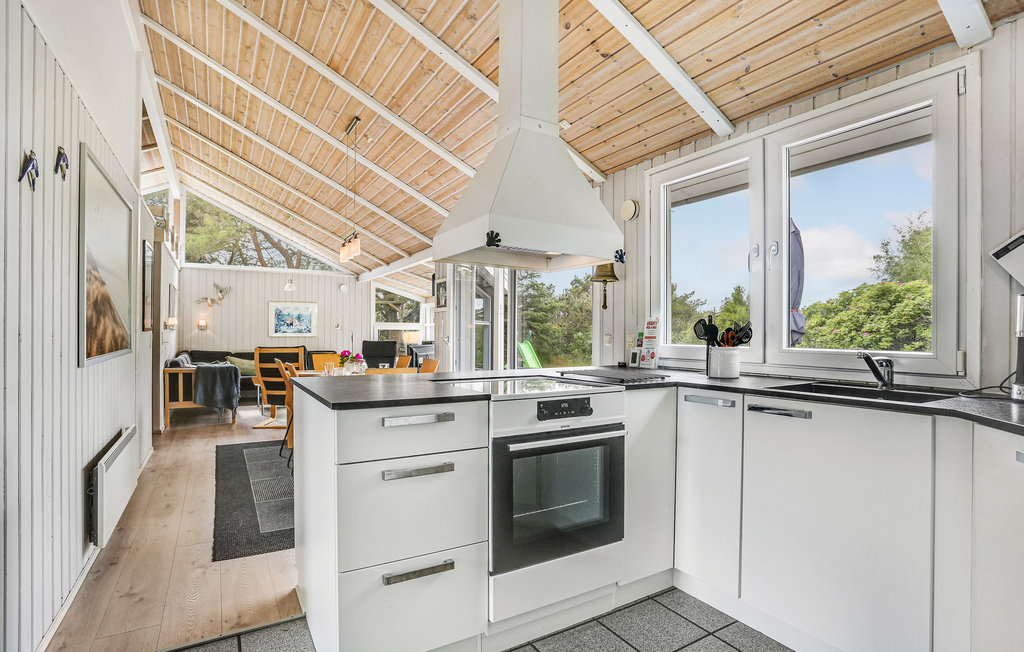 Ferienhaus - Tversted , Dänemark - A02520 8