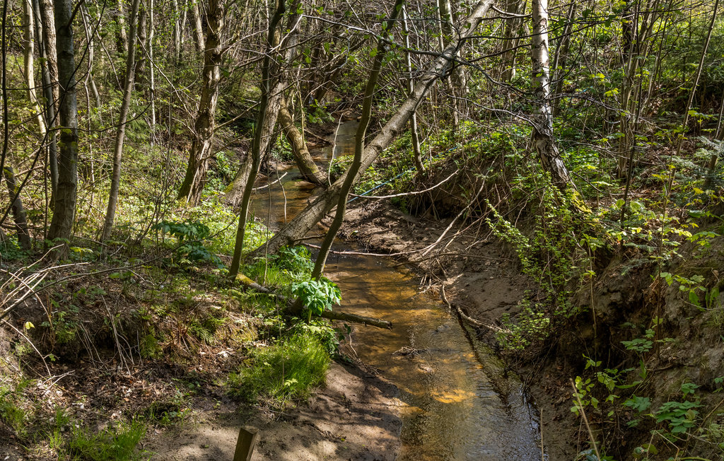 Feriehuse - Tversted Strand , Danmark - A02148 16