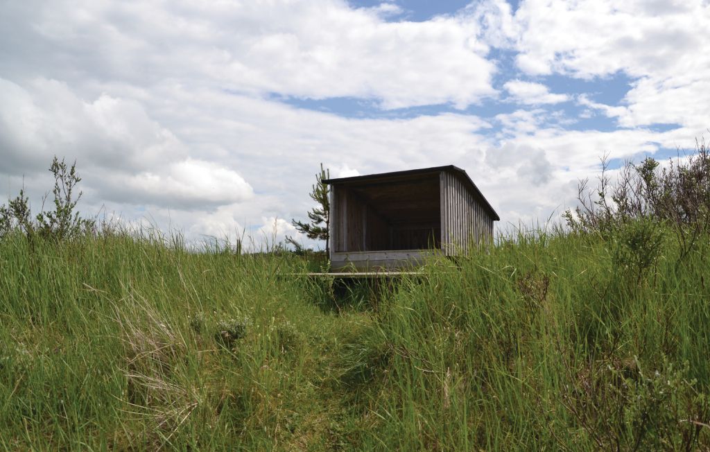 Feriehuse - Kjul Strand , Danmark - A03855 5