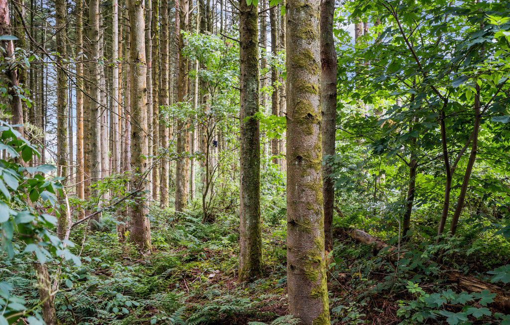 Ferienhaus - Nr. Lyngby , Dänemark - A07004 16