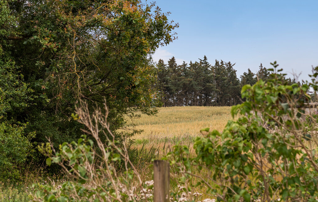 Domy wakacyjne - Løkken , Dania - A08646 14