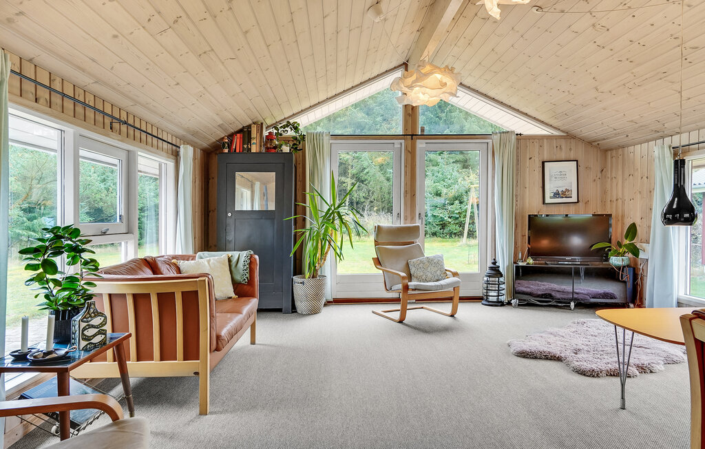 Feriehuse - Grønhøj , Danmark - A10420 3