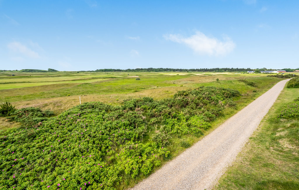 Ferienwohnung - Havneby , Dänemark - A1065 9