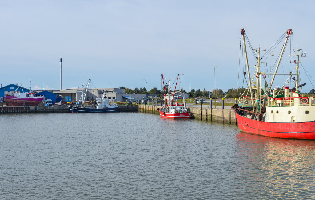 Ferienwohnung - Sønderstrand , Dänemark - A1029 11