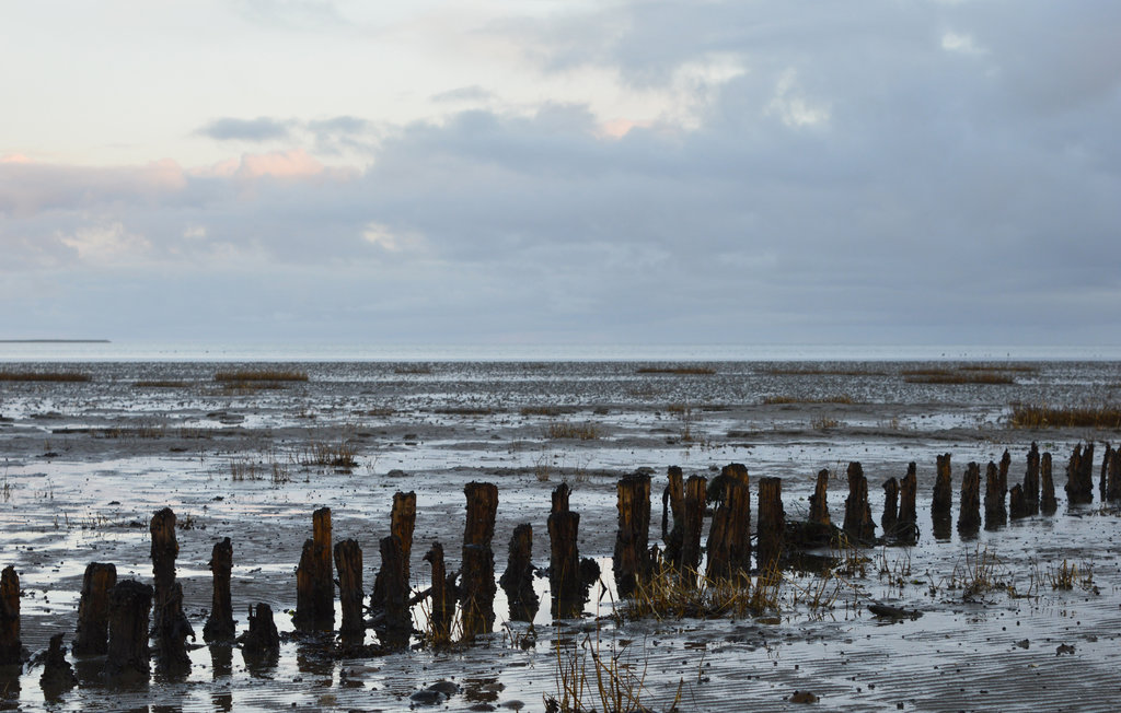 Ferienhaus - Havneby Strand , Dänemark - A1072 26