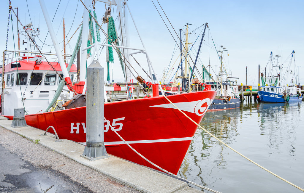 Feriehus - Havneby Strand , Danmark - A1050 19