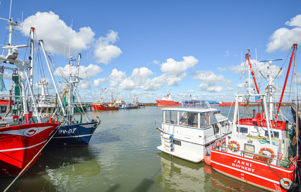 Ferienhaus - Bolilmark , Dänemark - A1053 19