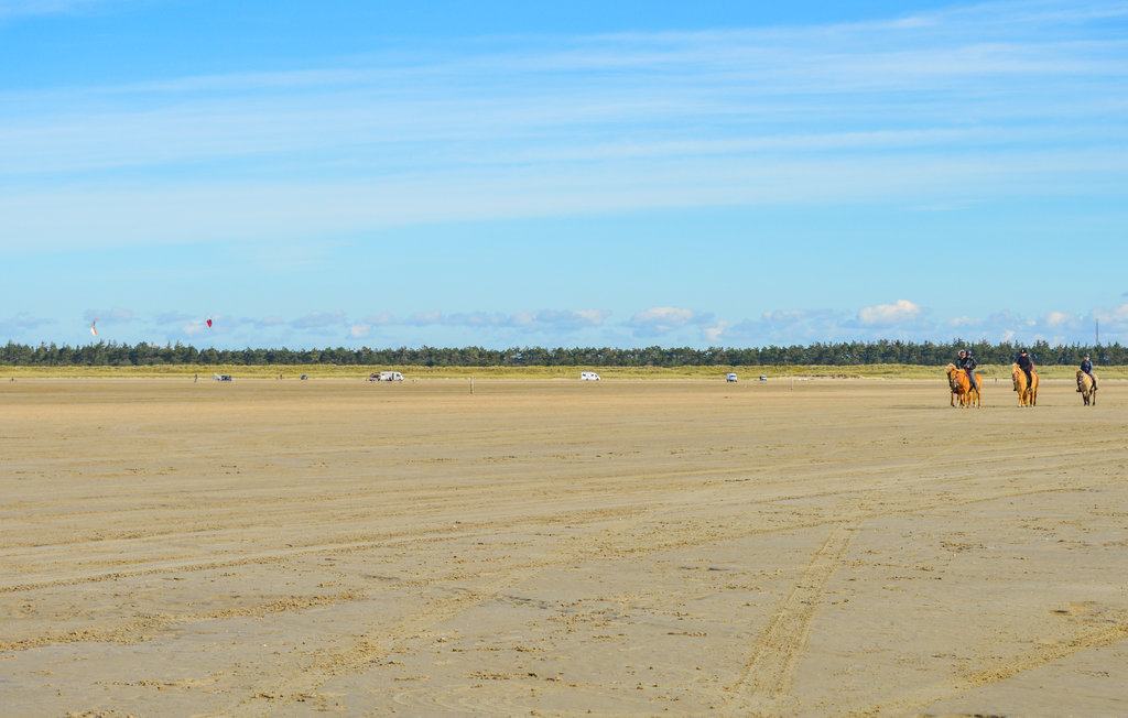 Ferienwohnung - Sønderstrand , Dänemark - A1029 13