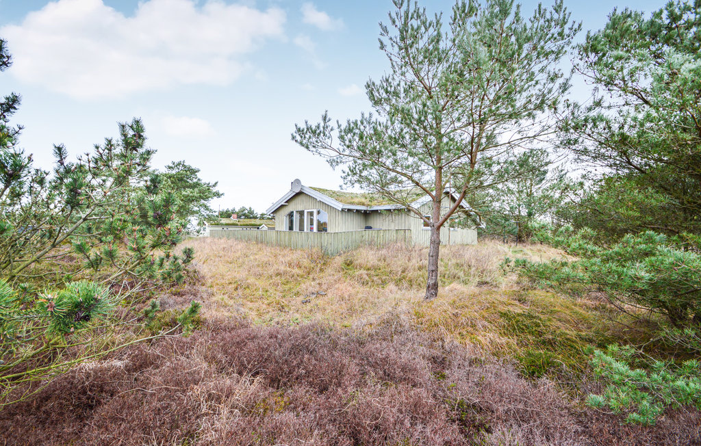 Ferienhaus - Bolilmark , Dänemark - A1053 10