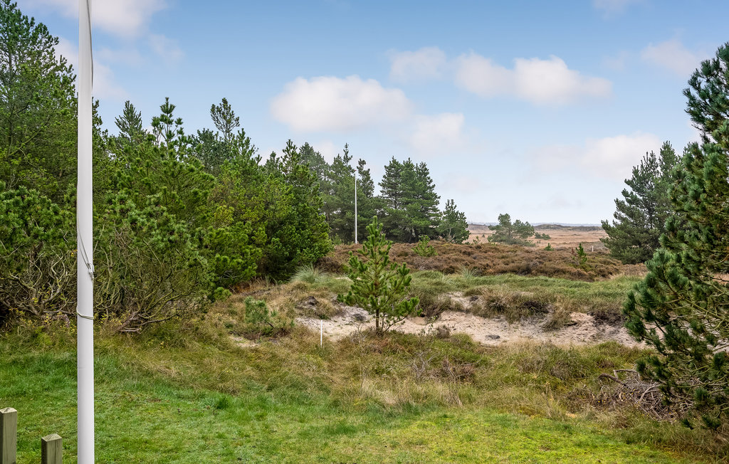 Semesterhus - Bolilmark , Danmark - A1033 8