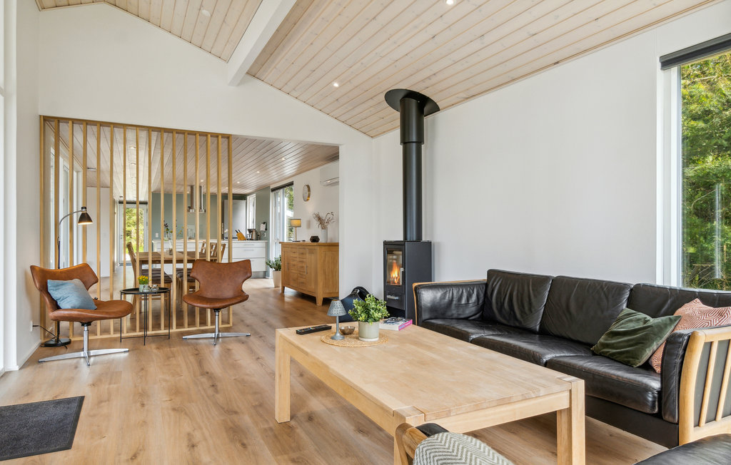 Feriehuse - Grønhøj , Danmark - A10256 3
