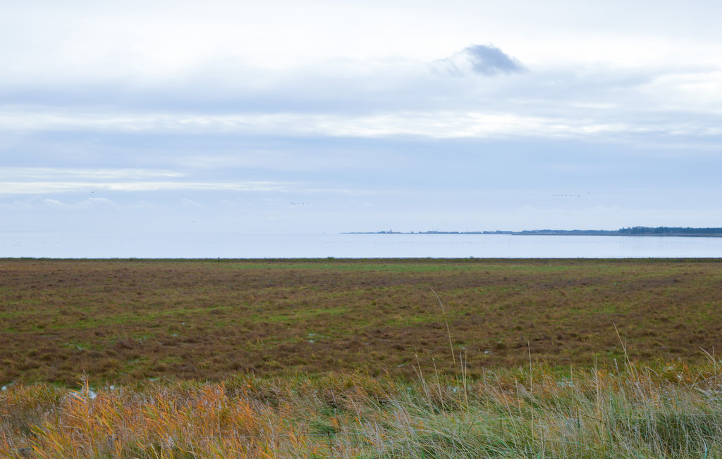 Ferienhaus - Kongsmark Strand , Dänemark - A1058 20