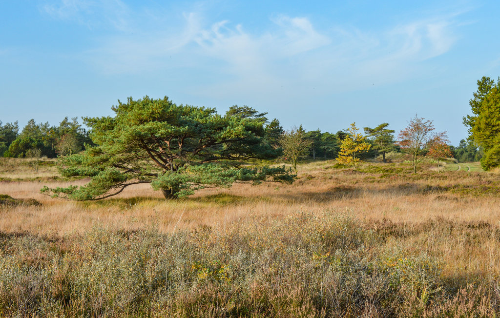 Feriehuse - Havneby Strand , Danmark - A1083 32