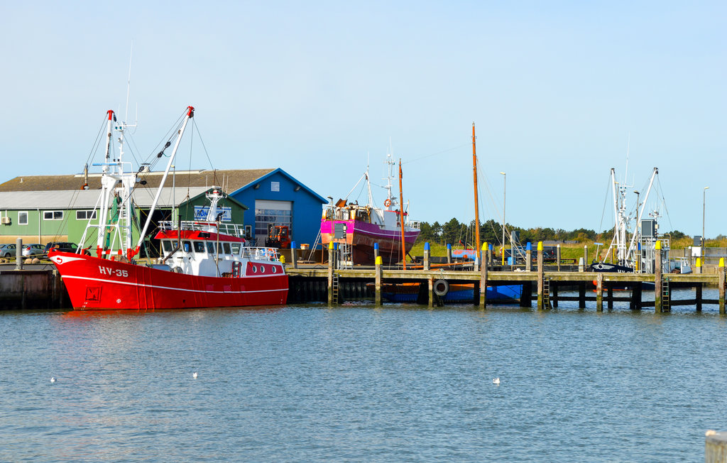 Ferienhaus - Kongsmark Strand , Dänemark - A1058 22