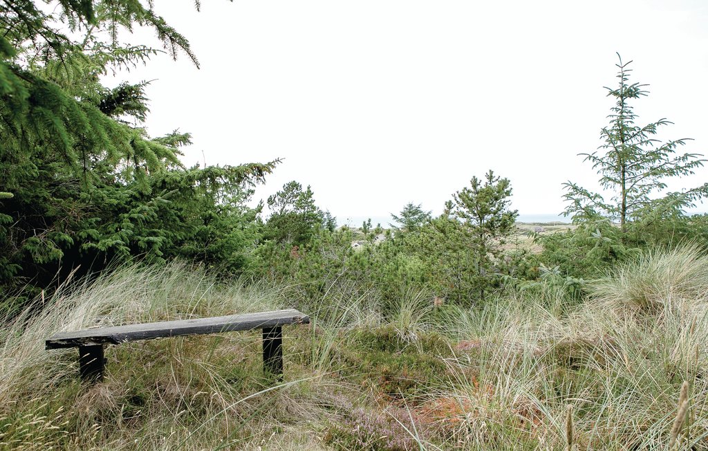 Feriehuse - Saltum , Danmark - A12517 14