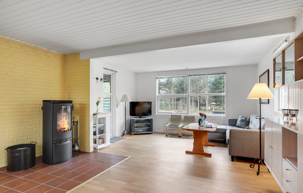 Ferienhaus - Saltum , Dänemark - A12065 3