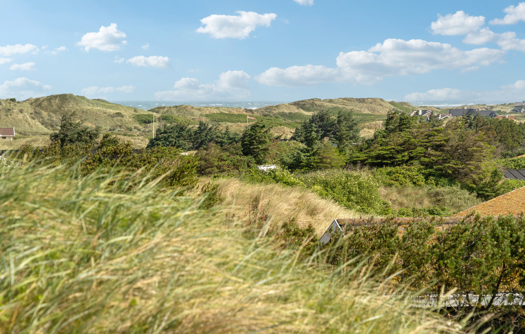 Feriehuse - Saltum Strand , Danmark - A12109 2