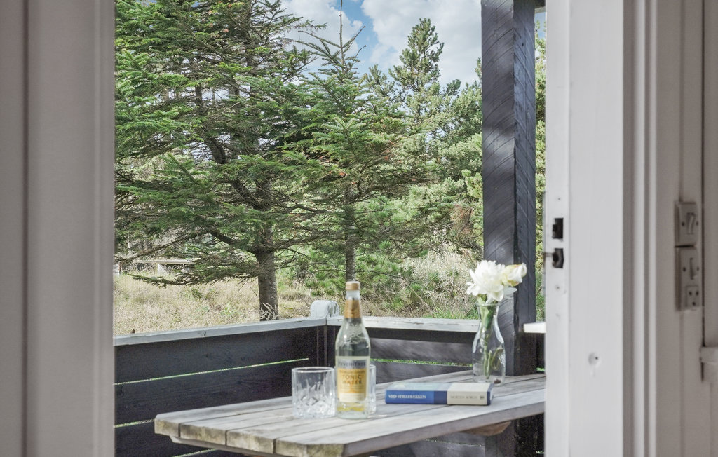 Ferienhaus - Saltum , Dänemark - A12014 17