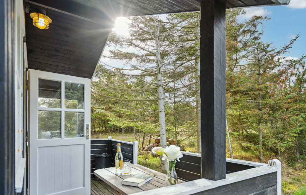 Ferienhaus - Saltum , Dänemark - A12014 15