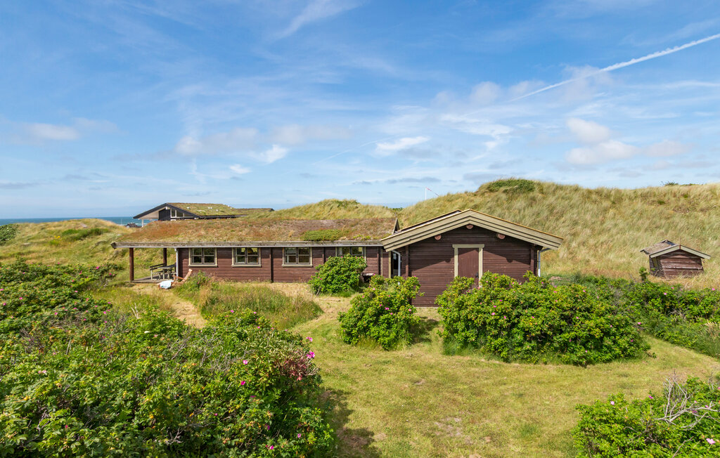 Feriehuse - Saltum Strand , Danmark - A12008 10
