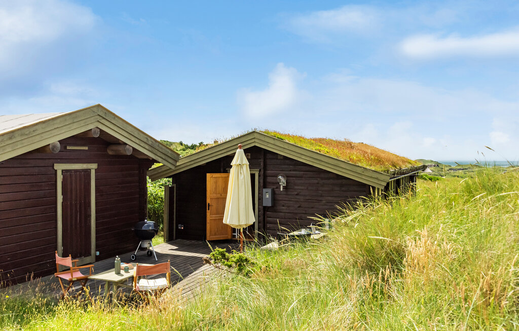 Feriehuse - Saltum Strand , Danmark - A12008 9