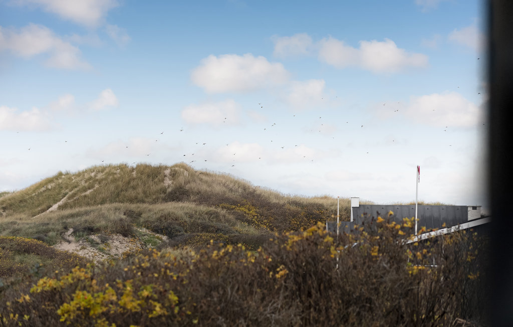 Ferienhaus - Blokhus Strand , Dänemark - A13025 13