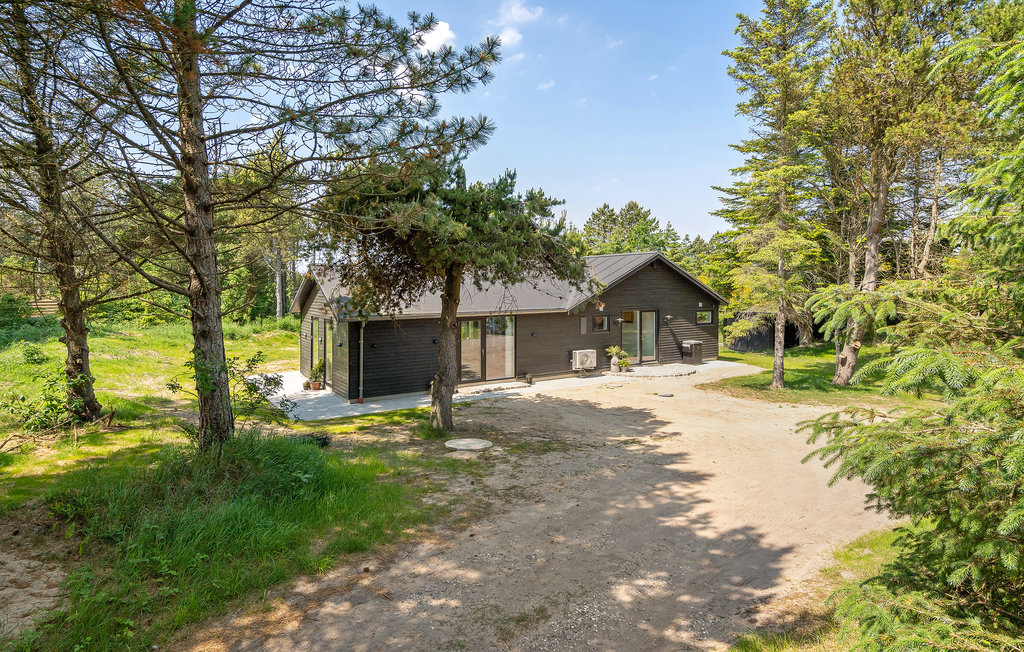 Ferienhaus - Hune , Dänemark - A13011 12