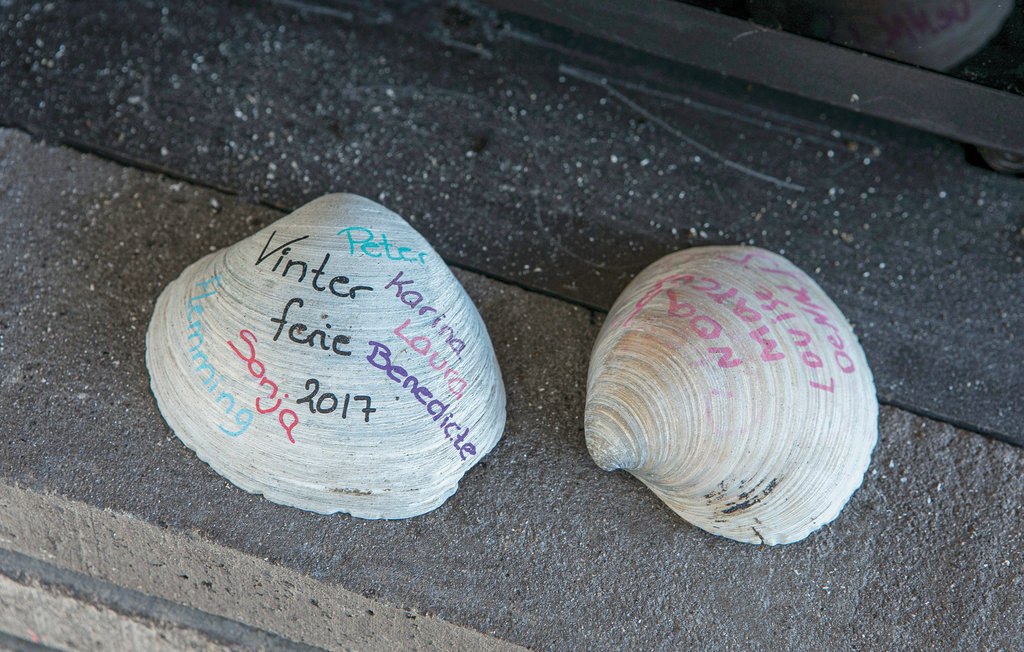 Ferienhaus - Blokhus , Dänemark - A13415 30