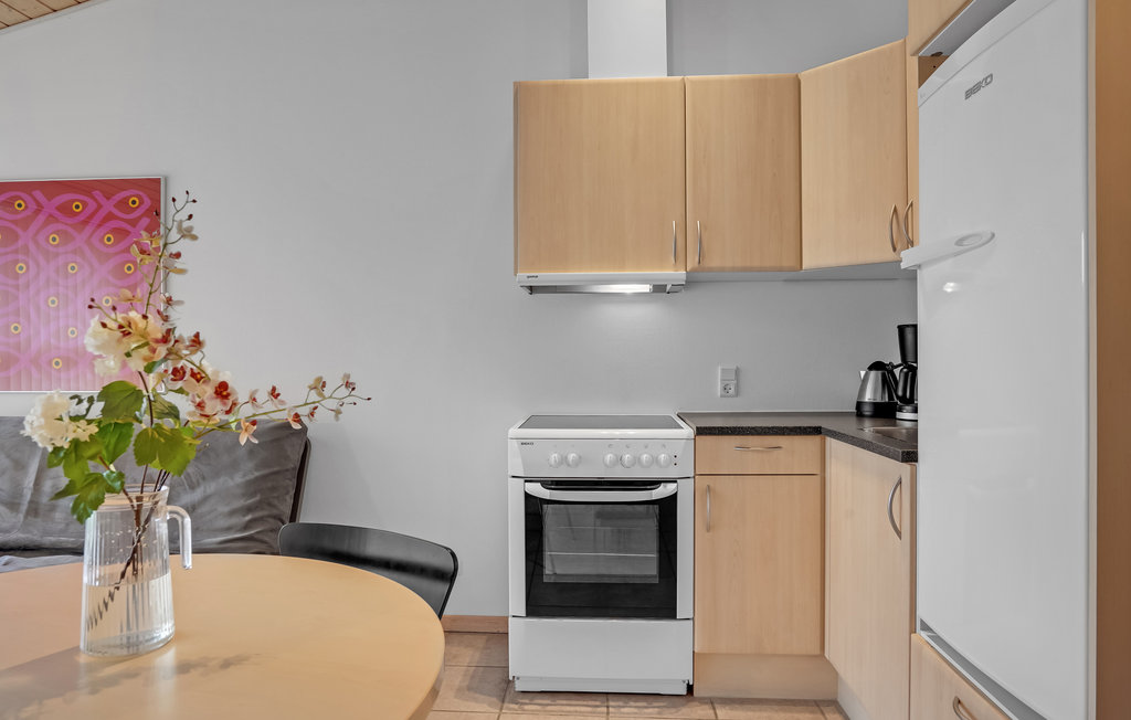 Ferienwohnung - Blokhus , Dänemark - A13042 18