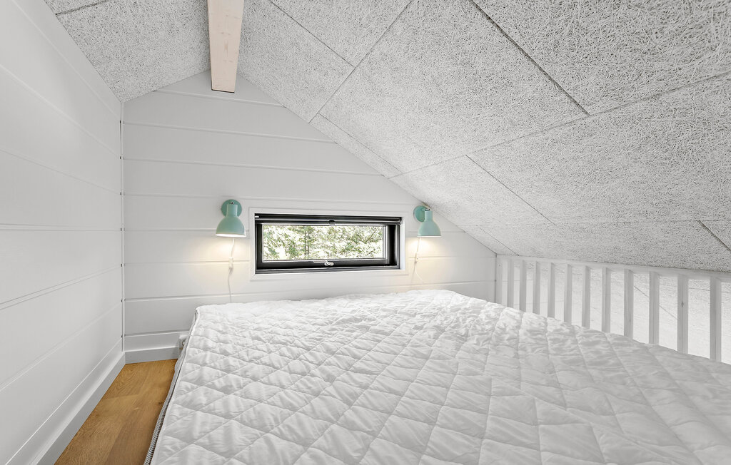 Domy wakacyjne - Blokhus Strand , Dania - A13003 24