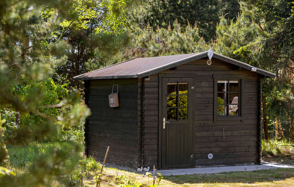 Feriehus - Blokhus Strand , Danmark - A13308 12
