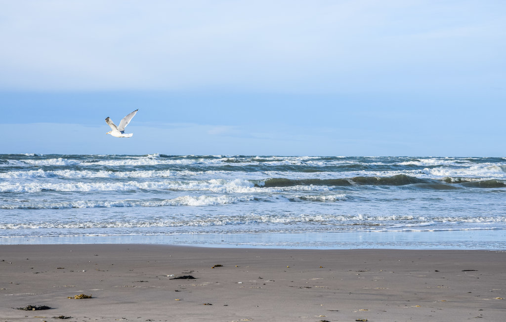Ferienhaus - Rødhus Strand , Dänemark - A14021 19