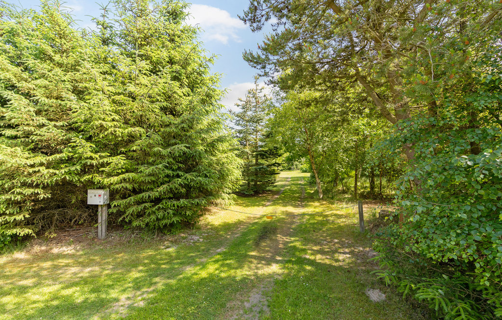 Ferienhaus - Rødhus Strand , Dänemark - A14017 20