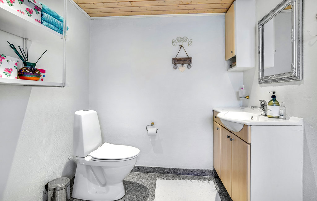 Ferienhaus - Pandrup , Dänemark - A14012 18